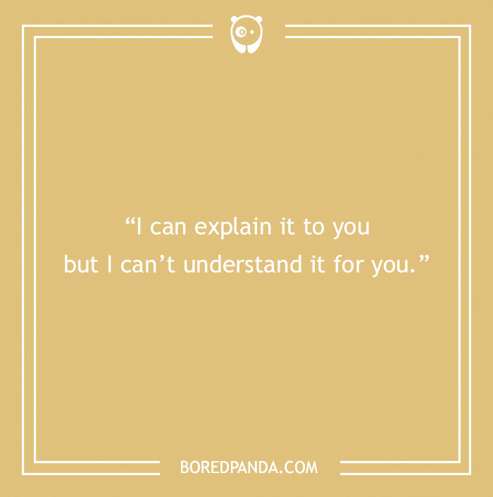 Sarcastic quote on a beige background: "I can explain it to you but I can't understand it for you."