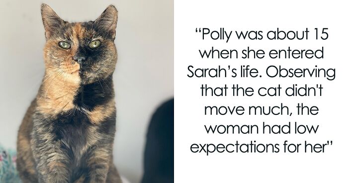 Senior Shelter Cat Defies Odds, Finds Home, And Discovers A Lifetime Of Love