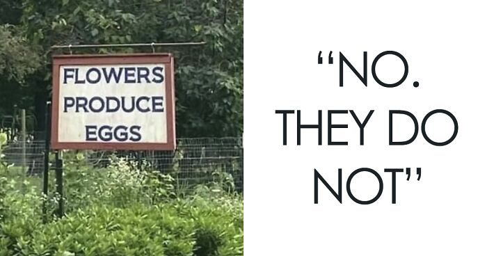 “Sign Appreciation Society”: Here’s A Facebook Group That Shares Signs Worth Seeing (74 Pics)