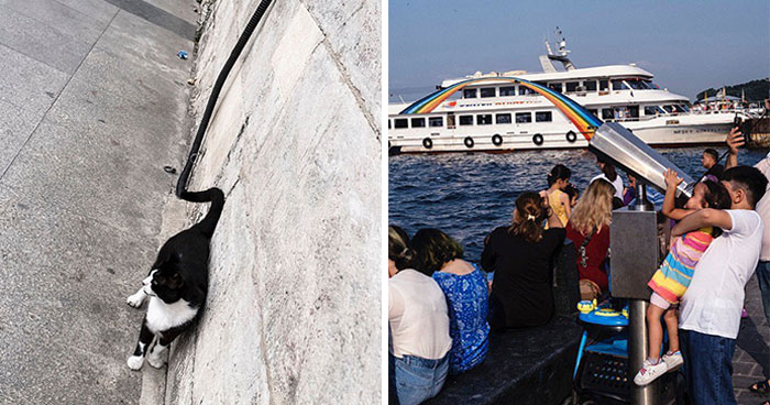 30 Entertaining Street Photographs As Proof That Timing Is Everything