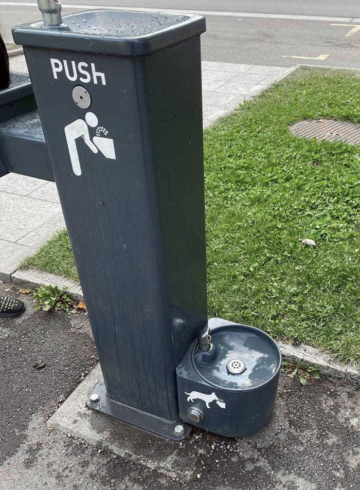 Drinking Water Facility For Dogs In Public Places In Switzerland