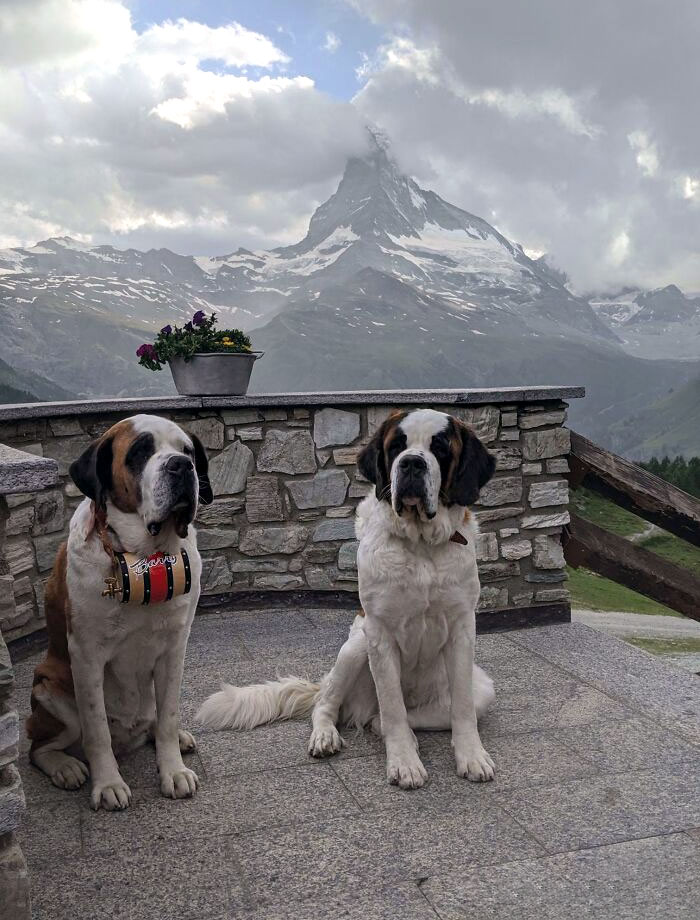 I'm Visiting Switzerland For The First Time - I Got To Have Dinner With These Two