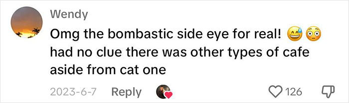 Pigs At This Cafe In Tokyo Are Called “Buta-San,” And They Trot Around Looking For Pets Pigs At This Cafe In Tokyo Are Called “Buta-San,” And They Trot Around Looking For Pets