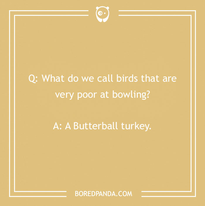 110 Turkey Jokes Dedicated Only To This Majestical Bird