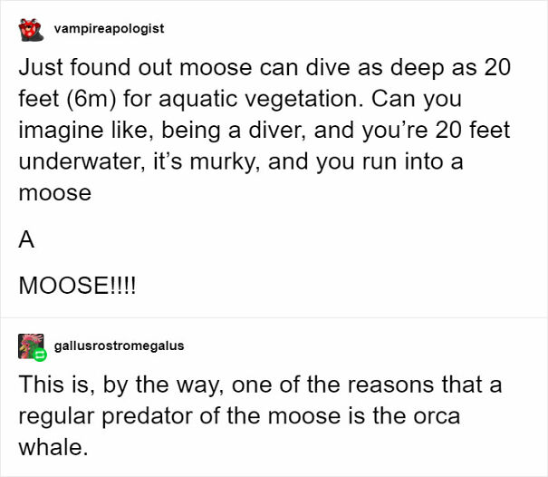 underwater-moose-aquatic-vegetation-pet-foolery-7-5da859f7098f6__700-65c3bdce2eff5.jpg