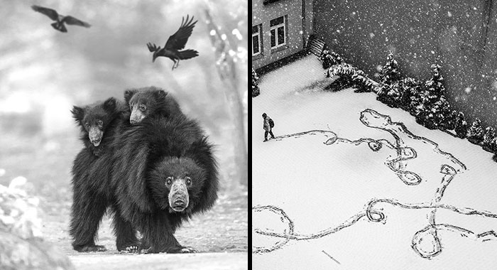 Monochrome Photography Awards 2023: 40 Images Captured By Talented Photographers From Around The World