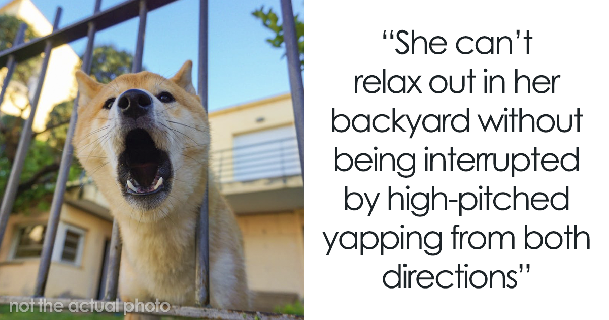 How a Mom Takes Revenge on Noisy Neighbors and Their Dogs