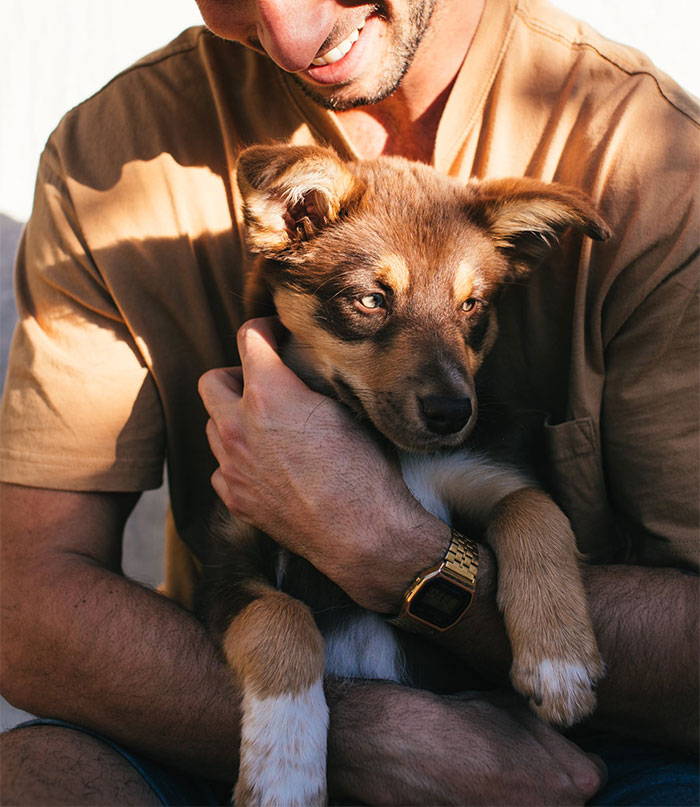 Woman Dumps Her BF After His Parents Warn Her Not To Leave Him Alone With Her Pets Woman Dumps Her BF After His Parents Warn Her Not To Leave Him Alone With Her Pets