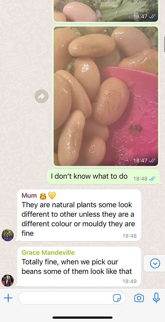 "I Would Have No Patience": Woman With Emetophobia Shares What Goes On In Her Family Group Chat "I Would Have No Patience": Woman With Emetophobia Shares What Goes On In Her Family Group Chat