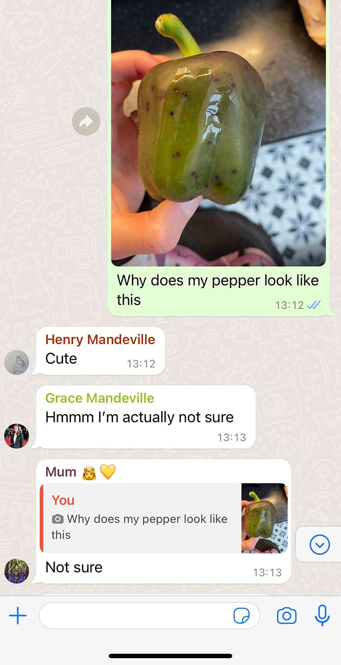 "I Would Have No Patience": Woman With Emetophobia Shares What Goes On In Her Family Group Chat "I Would Have No Patience": Woman With Emetophobia Shares What Goes On In Her Family Group Chat