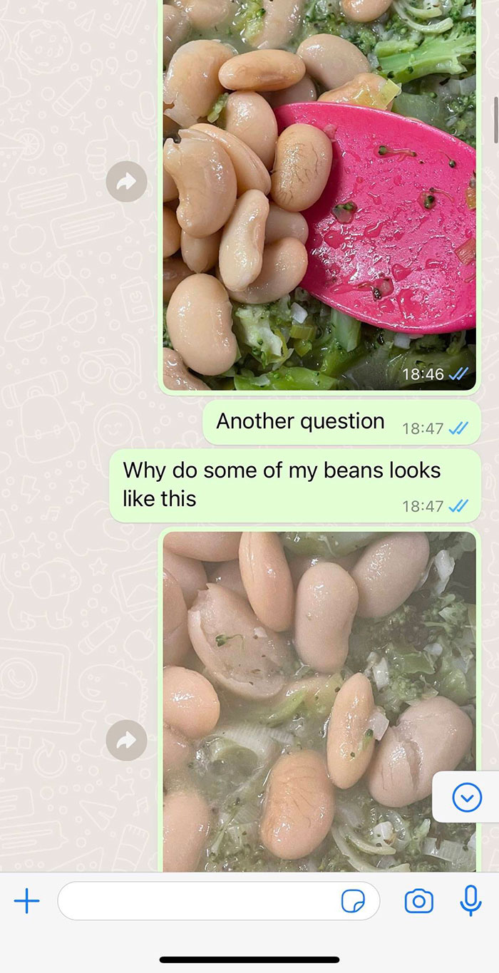 "I Would Have No Patience": Woman With Emetophobia Shares What Goes On In Her Family Group Chat "I Would Have No Patience": Woman With Emetophobia Shares What Goes On In Her Family Group Chat