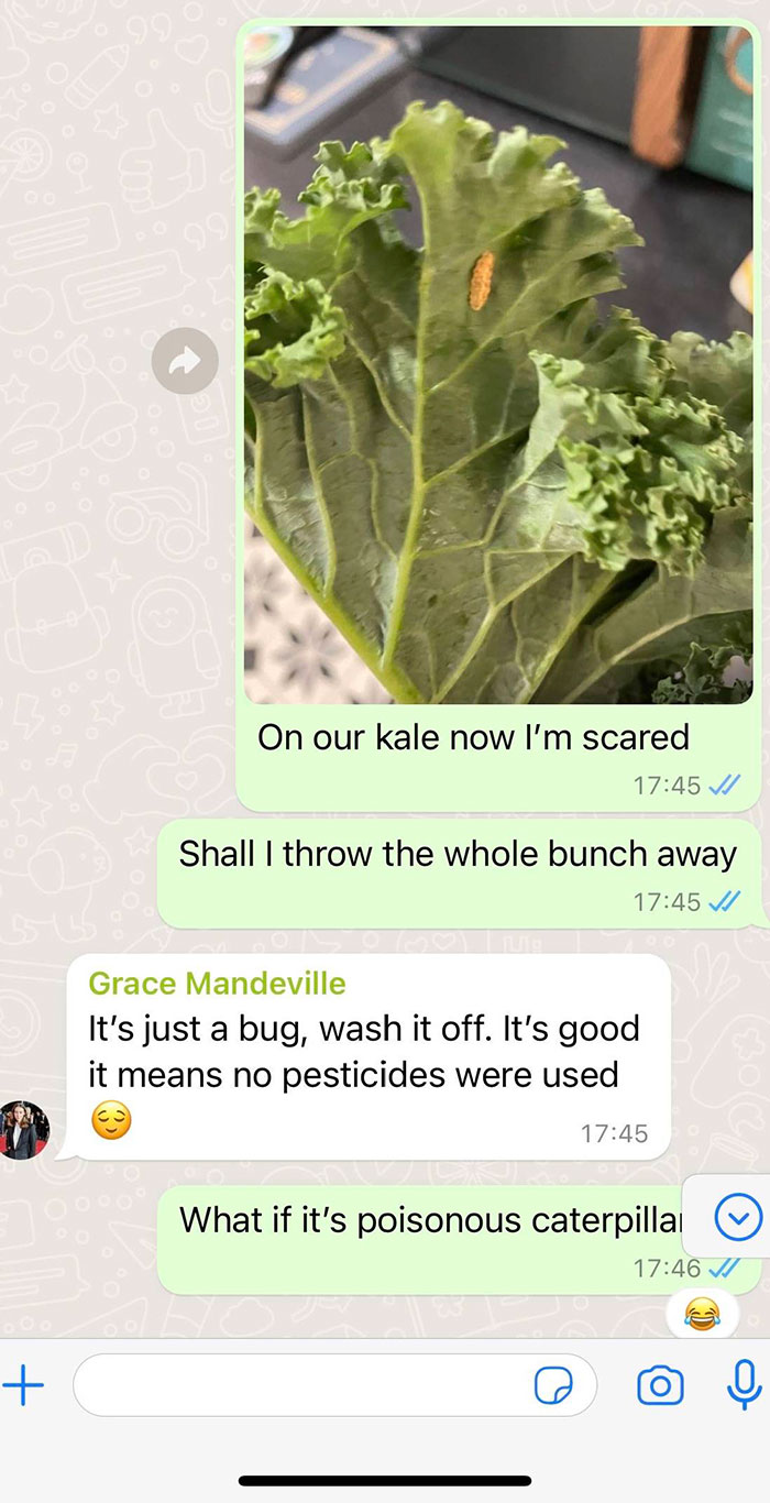 "I Would Have No Patience": Woman With Emetophobia Shares What Goes On In Her Family Group Chat "I Would Have No Patience": Woman With Emetophobia Shares What Goes On In Her Family Group Chat