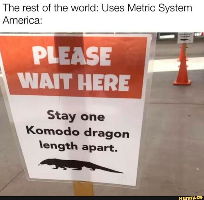 One Komodo Dragon