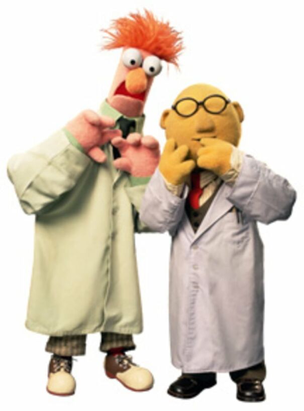 040709_muppets_vsml_11a.jpg
