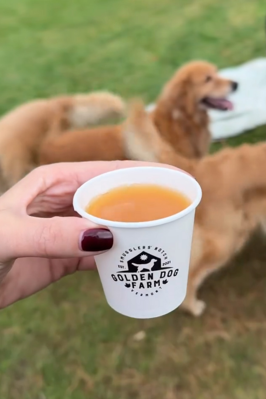 “People Cry Because They Are So Happy”: Visitors Flock To Experience The “Golden Retriever Hour” “People Cry Because They Are So Happy”: Visitors Flock To Experience The “Golden Retriever Hour”