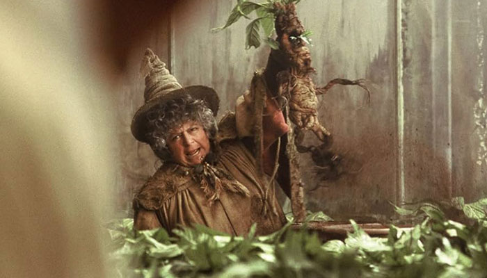Harry Potter Fans Outraged After Actress Who Played Professor Sprout Says Films Are For Children