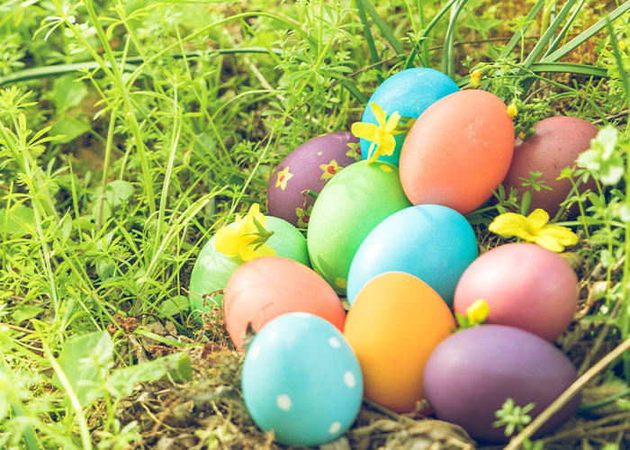 Michigan Man Stabbed Over “Egg Placement” At Elementary School Easter Egg Hunt Michigan Man Stabbed Over “Egg Placement” At Elementary School Easter Egg Hunt