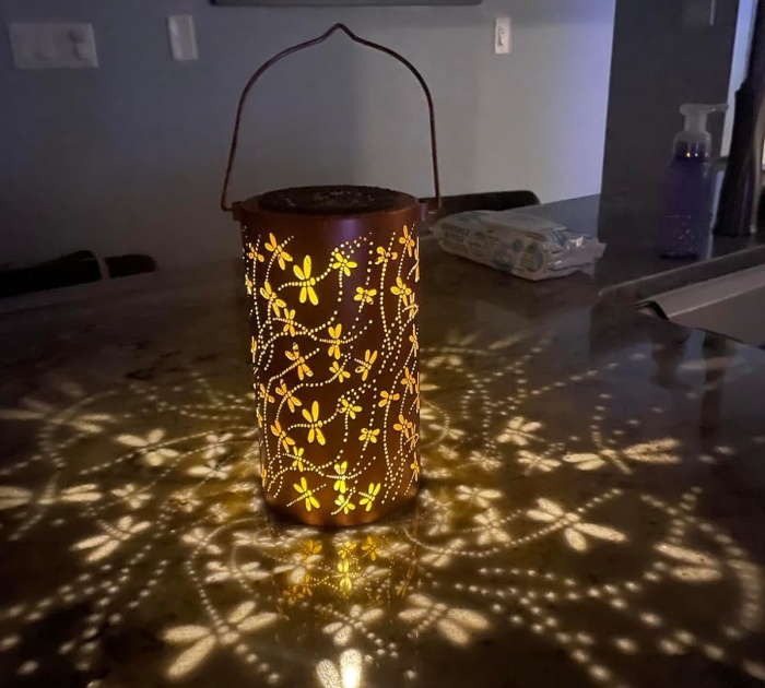 Light Up Your Night With Dragonfly Delights