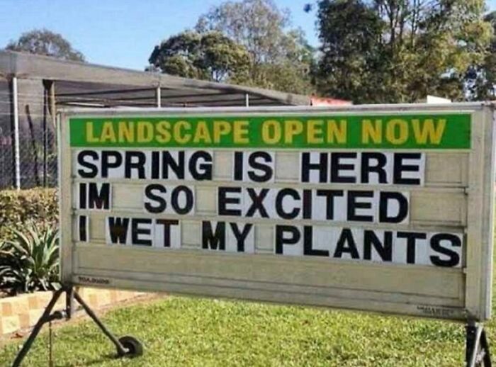 Springtime-Memes-Funny