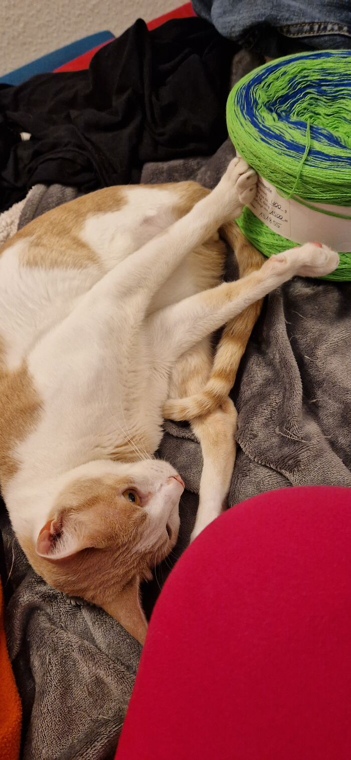 He Needs To Touch Or Hold Stuff To Be Comfortable