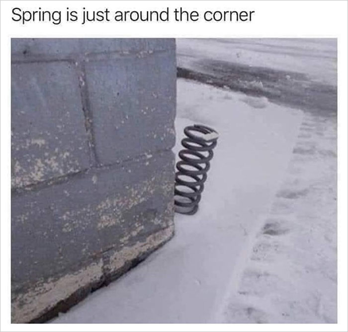 Springtime-Memes-Funny