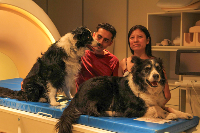 A Woman Discovers Hilarious Reason Why Her Newly Adopted Dog Kept Ignoring Her A Woman Discovers Hilarious Reason Why Her Newly Adopted Dog Kept Ignoring Her