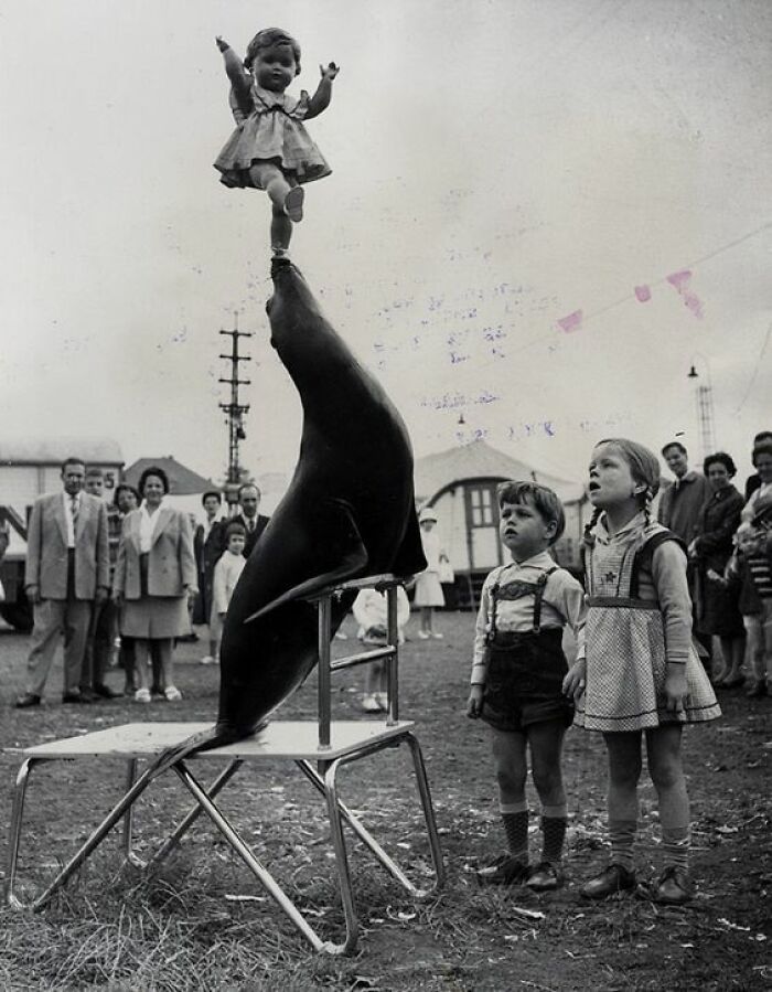 A Seal Puts On A Show By Balancing A Doll Before Young Viewers At A Performance Of The Krone Circus In Aachen, Germany, 1961