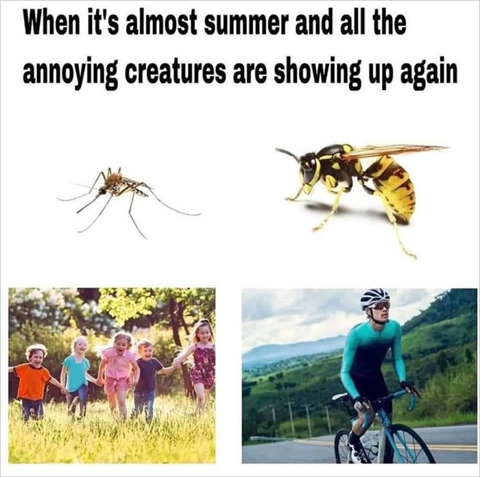 Springtime-Memes-Funny