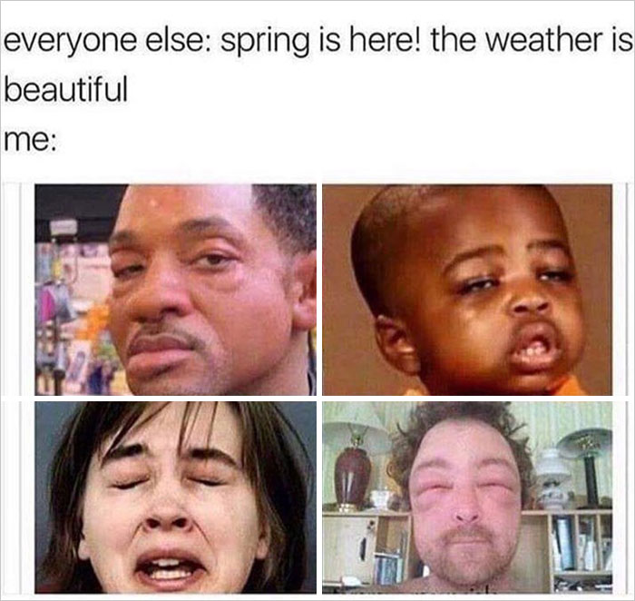 Springtime-Memes-Funny