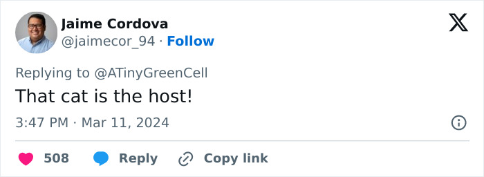 People Online Are In Love With This Adorable Cat Who Takes Its Owner’s Guests For Guided Hikes People Online Are In Love With This Adorable Cat Who Takes Its Owner’s Guests For Guided Hikes