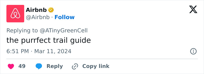 People Online Are In Love With This Adorable Cat Who Takes Its Owner’s Guests For Guided Hikes People Online Are In Love With This Adorable Cat Who Takes Its Owner’s Guests For Guided Hikes