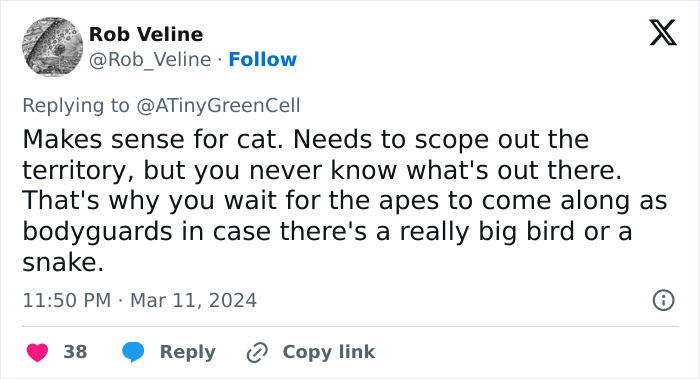 People Online Are In Love With This Adorable Cat Who Takes Its Owner’s Guests For Guided Hikes People Online Are In Love With This Adorable Cat Who Takes Its Owner’s Guests For Guided Hikes