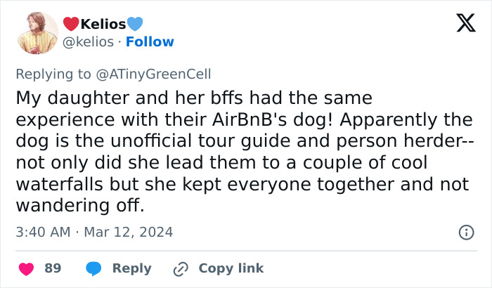 People Online Are In Love With This Adorable Cat Who Takes Its Owner’s Guests For Guided Hikes People Online Are In Love With This Adorable Cat Who Takes Its Owner’s Guests For Guided Hikes