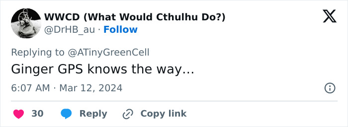 People Online Are In Love With This Adorable Cat Who Takes Its Owner’s Guests For Guided Hikes People Online Are In Love With This Adorable Cat Who Takes Its Owner’s Guests For Guided Hikes