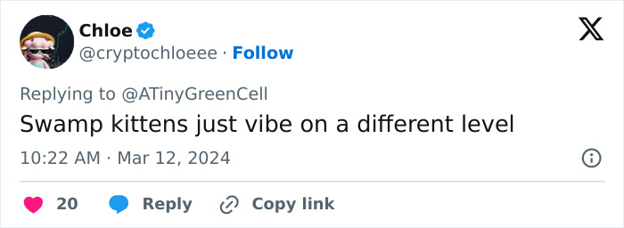 People Online Are In Love With This Adorable Cat Who Takes Its Owner’s Guests For Guided Hikes People Online Are In Love With This Adorable Cat Who Takes Its Owner’s Guests For Guided Hikes