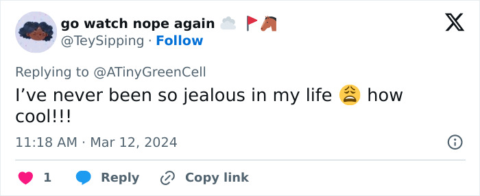 People Online Are In Love With This Adorable Cat Who Takes Its Owner’s Guests For Guided Hikes People Online Are In Love With This Adorable Cat Who Takes Its Owner’s Guests For Guided Hikes