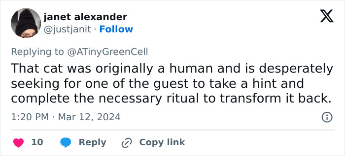 People Online Are In Love With This Adorable Cat Who Takes Its Owner’s Guests For Guided Hikes People Online Are In Love With This Adorable Cat Who Takes Its Owner’s Guests For Guided Hikes