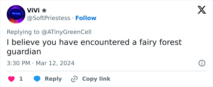 People Online Are In Love With This Adorable Cat Who Takes Its Owner’s Guests For Guided Hikes People Online Are In Love With This Adorable Cat Who Takes Its Owner’s Guests For Guided Hikes