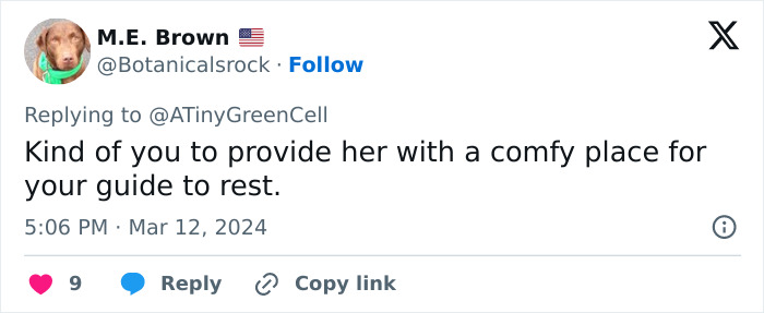 People Online Are In Love With This Adorable Cat Who Takes Its Owner’s Guests For Guided Hikes People Online Are In Love With This Adorable Cat Who Takes Its Owner’s Guests For Guided Hikes