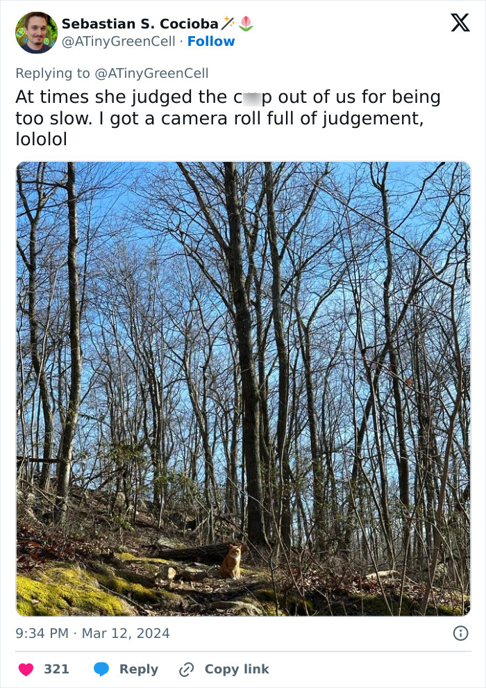 People Online Are In Love With This Adorable Cat Who Takes Its Owner’s Guests For Guided Hikes