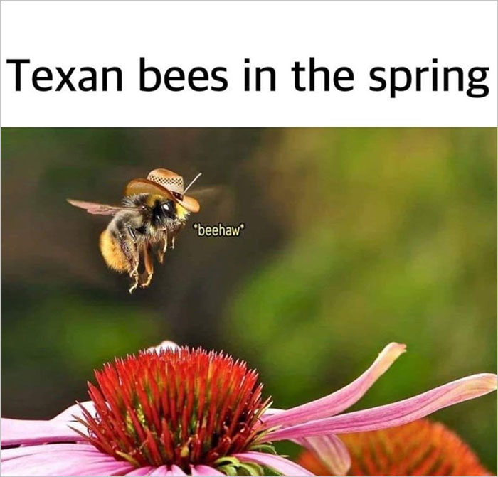 Springtime-Memes-Funny