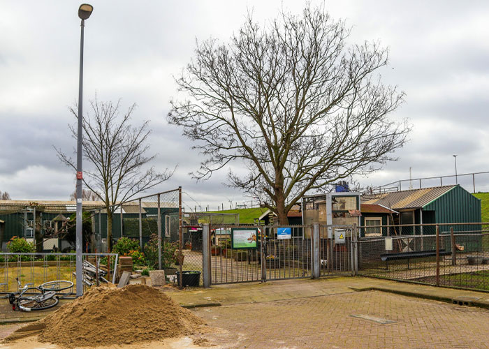 Primary School Student Strangles 11 Animals In Brutal Case Of Mistreatment In The Netherlands