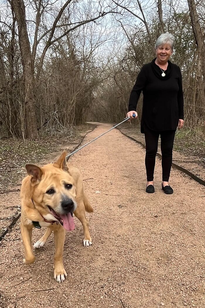 Adorable Video Showing Senior Dog Turning Into A Puppy Thanks To His New Owner