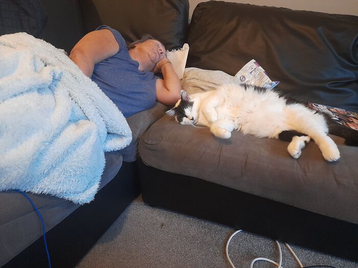 My Wonderful, Amazing Mum With My Cat, Who Ended Up Being Her Best Friend. We Had To Say Goodbye To Him On 5th December 23 At 17yrs 😞 He Was The Bestest Boy!! She Wasn't A Cat Person But She Is Now. Shes Gonna Hate Me For Posting This 😆 (She Hates Having Her Pic Taken So I Sneak Them When She Snoozes On The Couch To Send To The Siblings Group Chat)