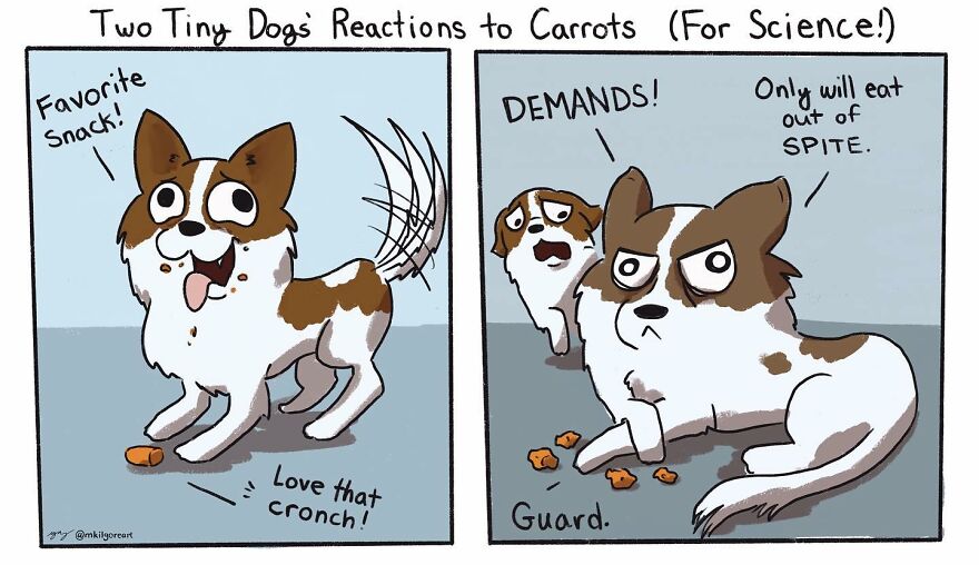 Have Fun With Mindy Kilgore's Silly And Not-So-Innocent Comics (27 Pics)
