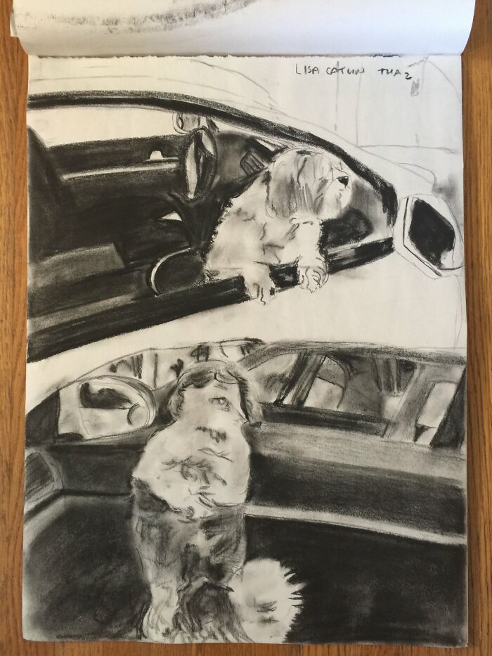 Charcoal Study Of My Dog Looking Out The Window (Exterior) And Of Him Looking Out The Window (Interior)
