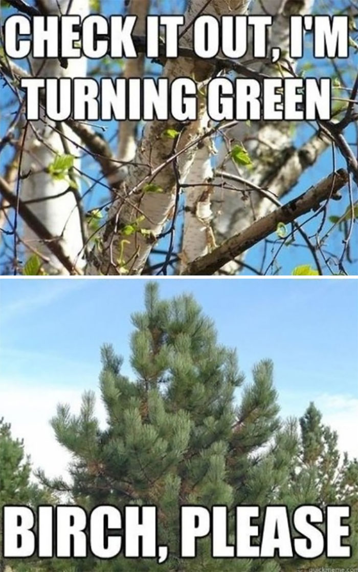 Springtime-Memes-Funny