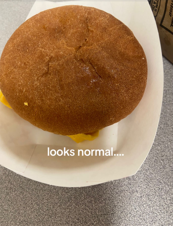 Mom Goes Viral After Posting Photos Of School Cafeteria Hamburger She Says Warrants Lawsuit