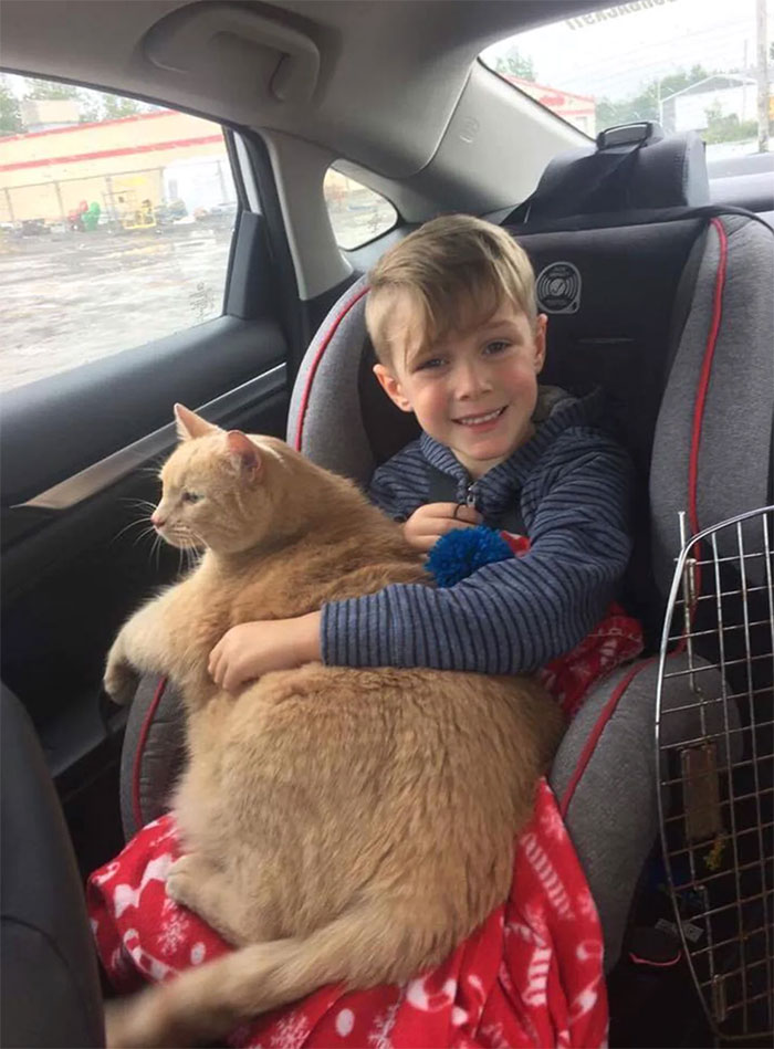 Easton's Mom Told Him He Could Adopt A New Pet. He Had The Choice Between A Puppy Dog Or A Cat. He Chose To Adopt Tiny, A 10-Year-Old Cat Who Had Just Lost His Home. Of All The Animals, He Chose To Adopt An Overweight, Old, Shy Cat. Love Is Blind, As It Should Be. On The Ride Home, Tiny Got Out Of His Cage And Cuddled In With His New Owner And Has Been Stuck To Him Ever Since. Great Job Easton, Tiny Is One Lucky Cat!