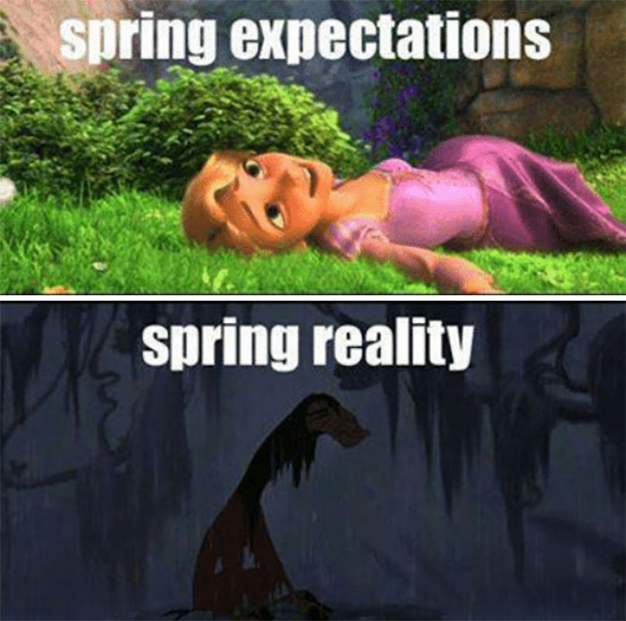 Springtime-Memes-Funny